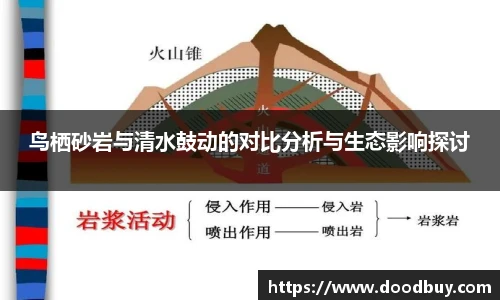 鸟栖砂岩与清水鼓动的对比分析与生态影响探讨